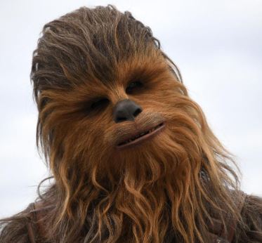thumbnail de perfil de chewbacca